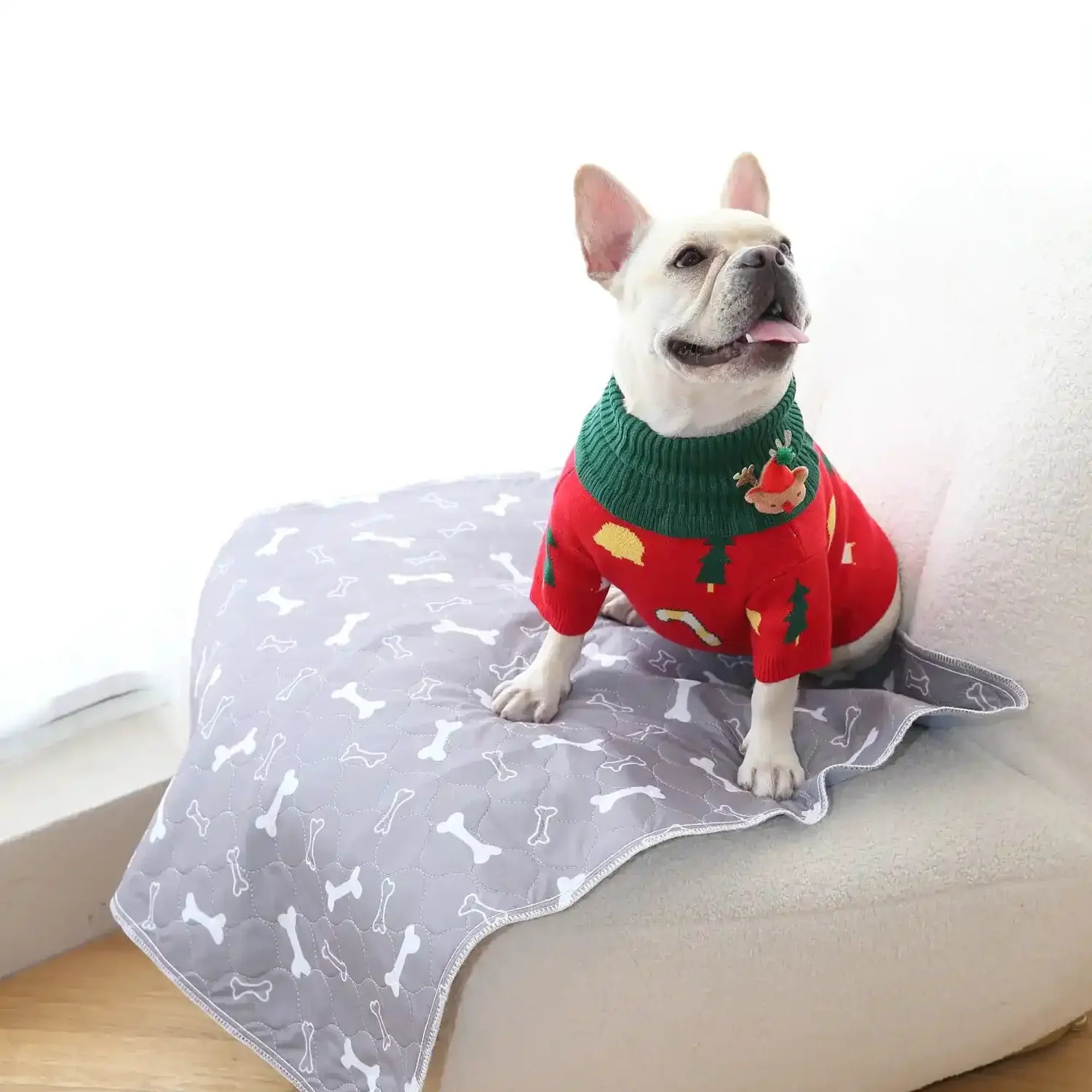 PuppyPad - The Last Pee Pad You&