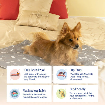 PuppyPad - The Last Pee Pad You&